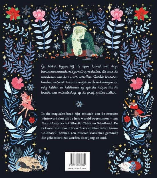 Winterverhalen | Boek