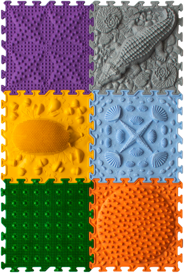 Orto nature Set "Young Explorer" 6 delig