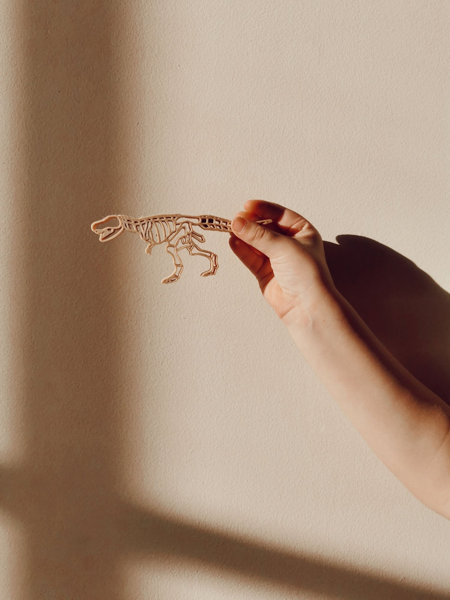 Grennn - uitstekers dino en poot