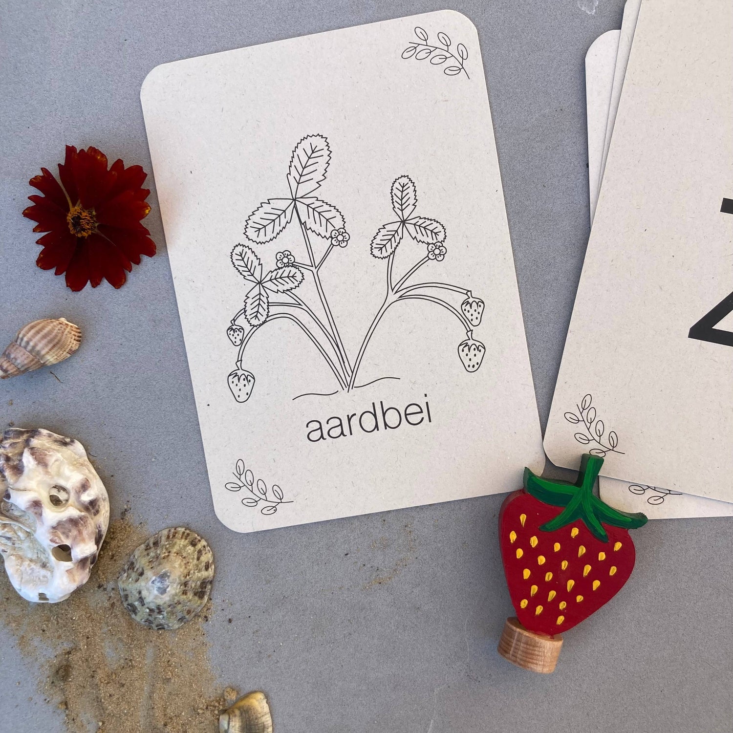 Zomer flashcards - Educatief speelgoed - Montessori