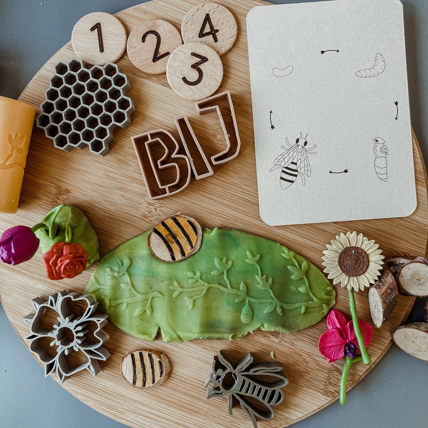 Lifecycle flashcards bij - Educatief speelgoed -levenscyclus