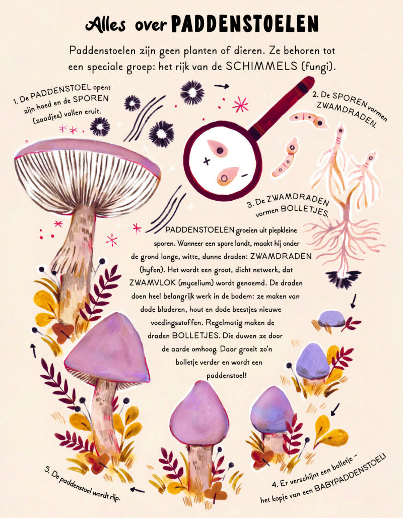 Een woud vol wonderen