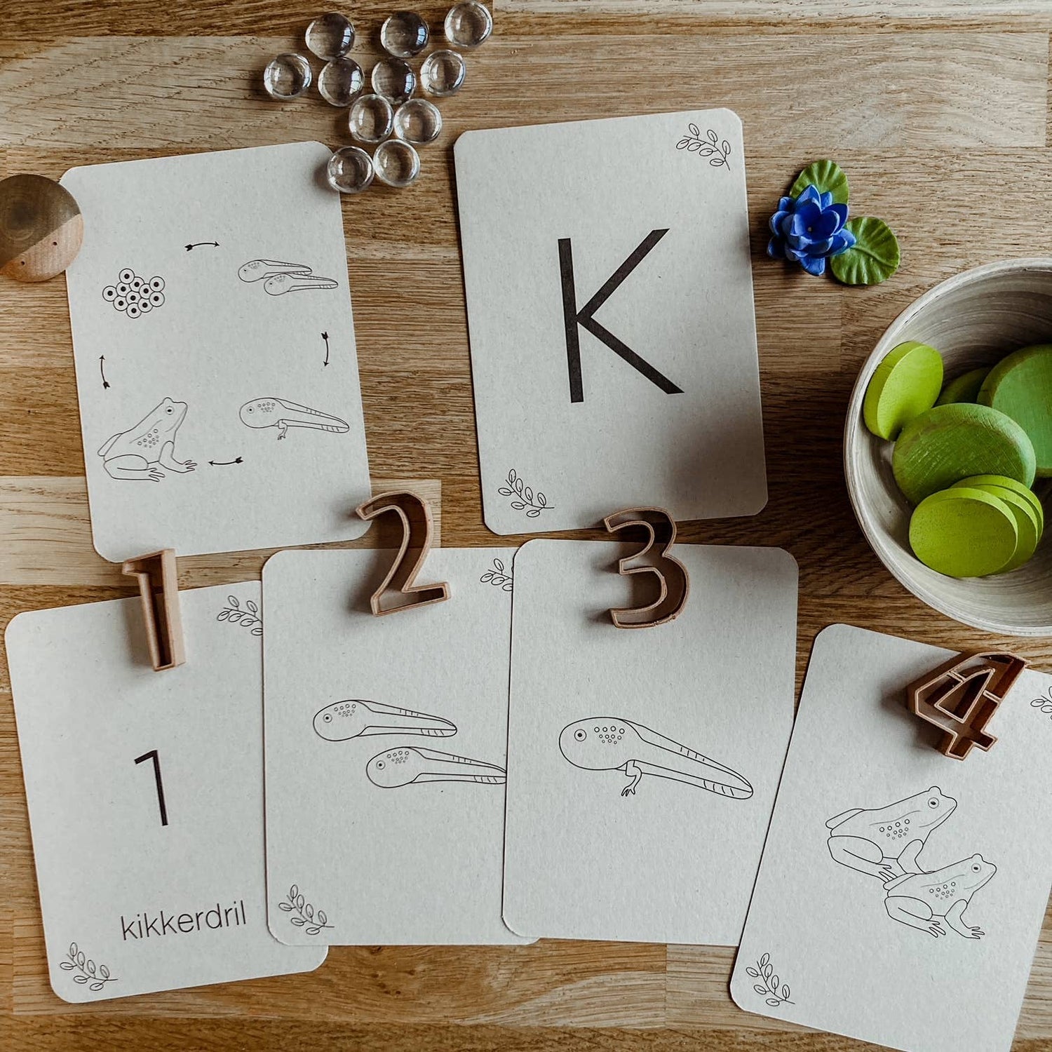 Lifecycle flashcards kikker - Educatief speelgoed