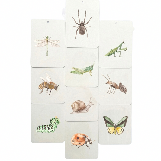 Kriebelbeestjes flashcards